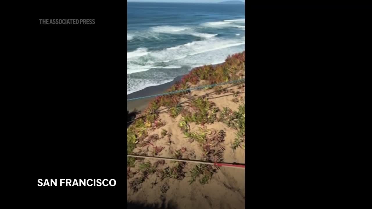Rescuers pluck dog from the side of a San Francisco cliff